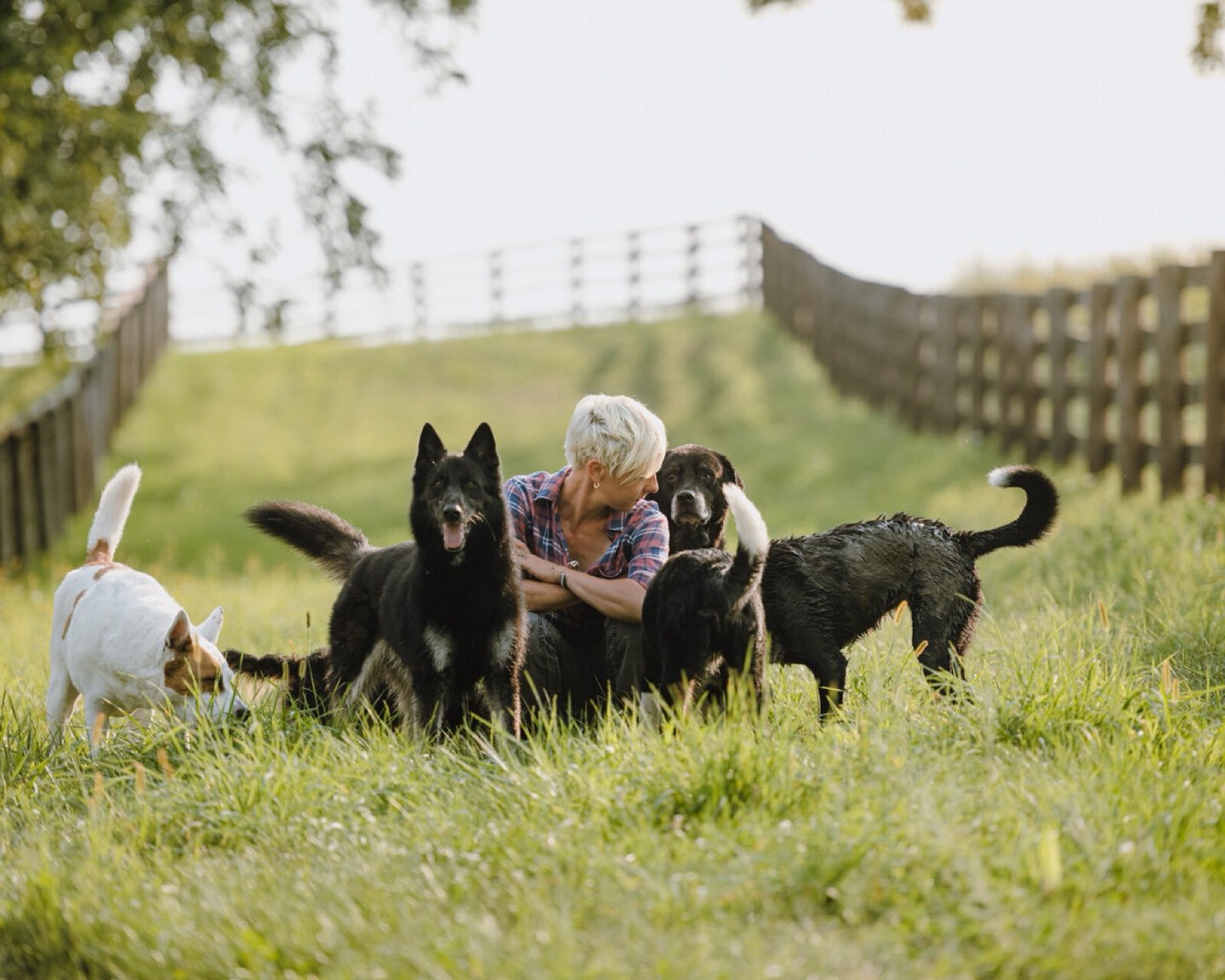 Sasha petting three dogs at the farm
